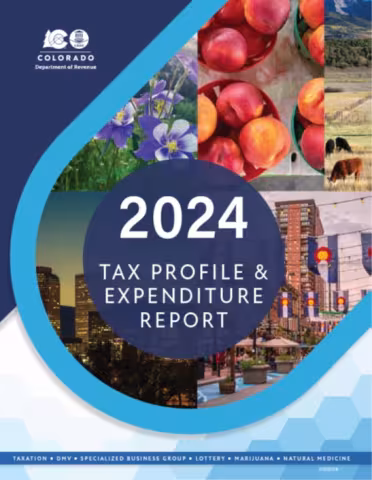 2024 Tax Profile and Expenditure Report