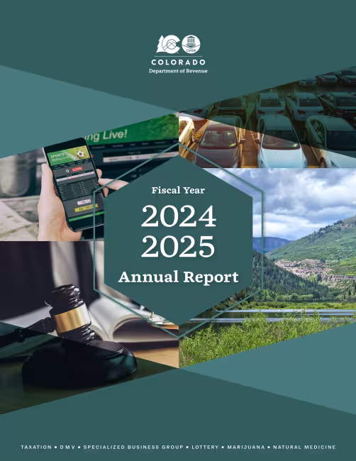 Cover image for DOR's annual report
