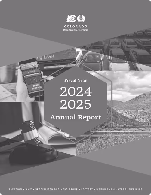 Third Year 2024 2025 Annual Report Cover